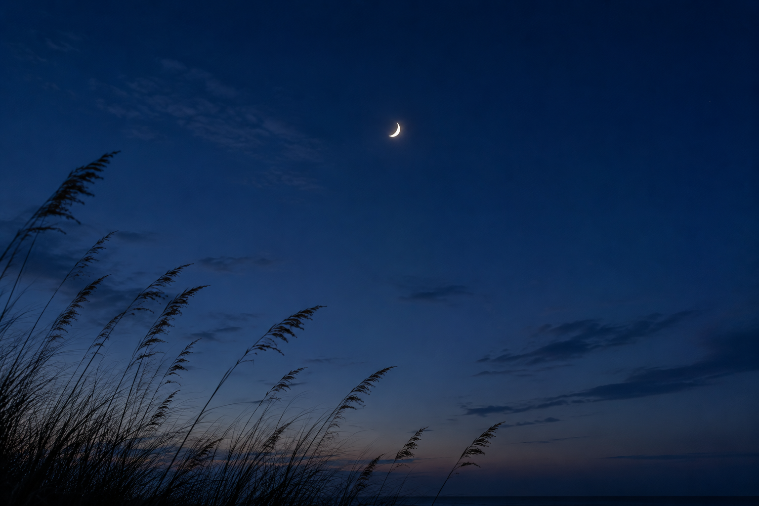 Beneath the Same July Moon